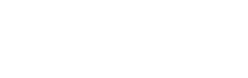 Virus International
